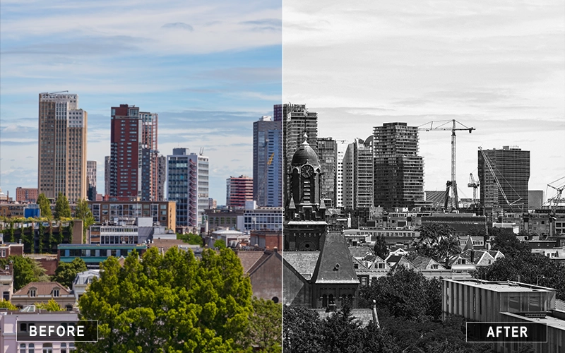 Cityscape Black and White Lightroom Presets