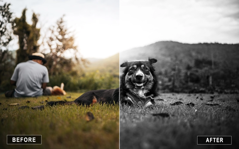 Contrast Black And White Lightroom Presets