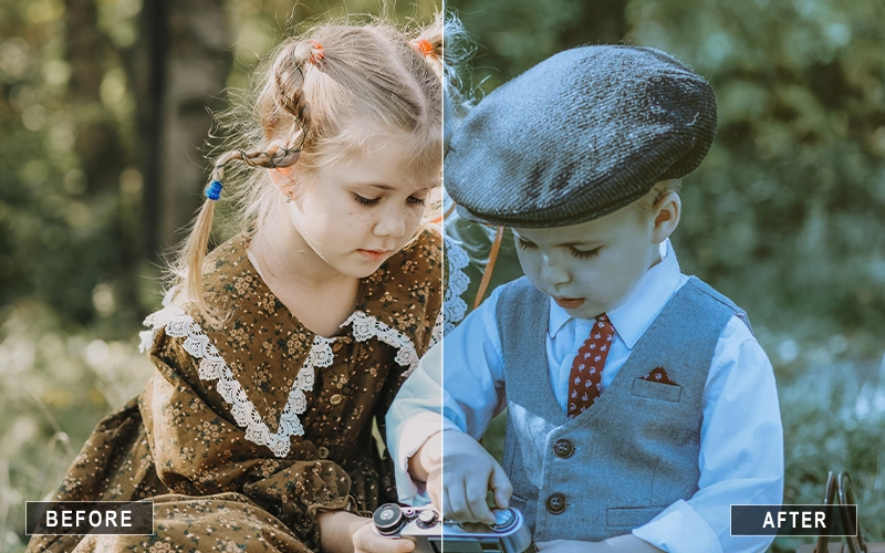 Cool Tone Camera Raw Vintage Presets