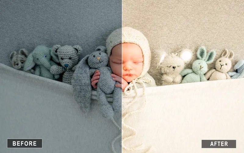 Earthy Newborn Presets