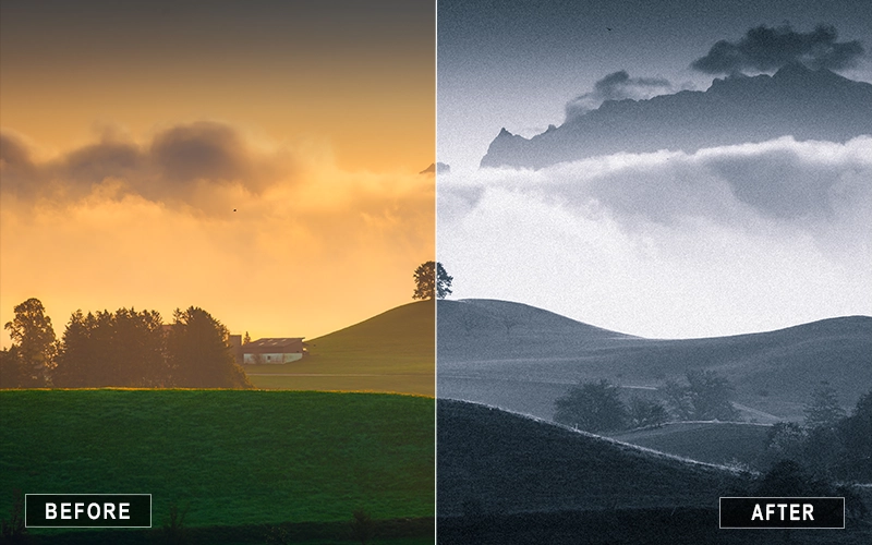Grain Black and White Presets