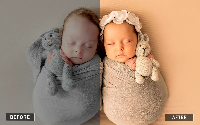 Magical Newborn Presets