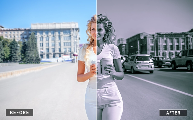 Moody Black and White Lightroom Presets