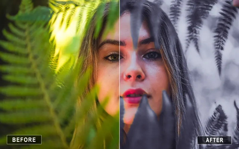 Natural Forest Lightroom Presetsโ