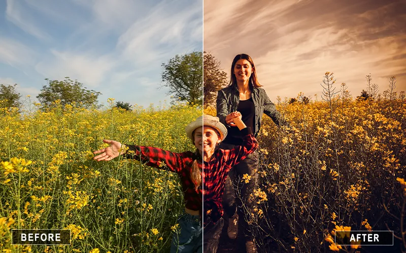 Natural Grassland Lightroom Presetsโ