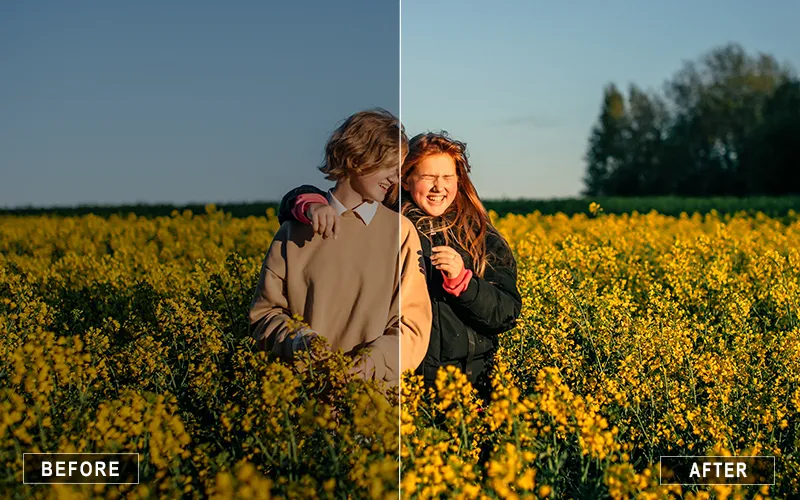 Natural Land Lightroom Presets