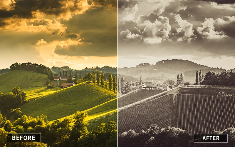 Retro Black and White LR Presets