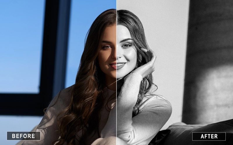 Vibrant Black and White LR Presets