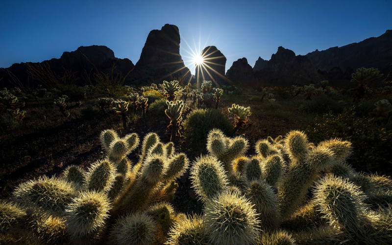 Nature photography by Ian Plant, Mountain landscapes by Ian Plant