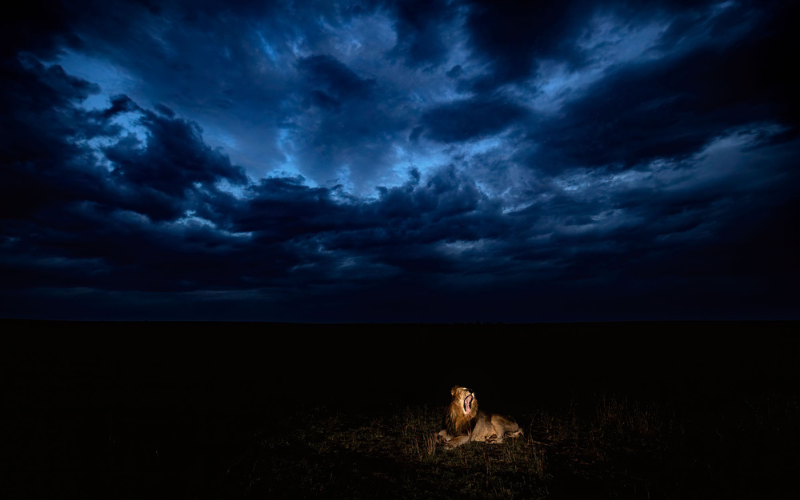 Night wide angle photoshoot by Ian Plant, Wildlife Nature photography