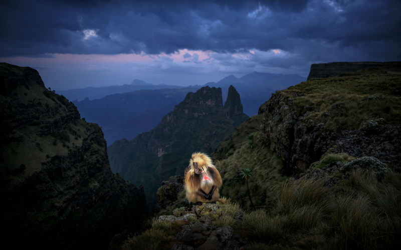 landscape photography tutorial by Ian plant, online wide angle photography course