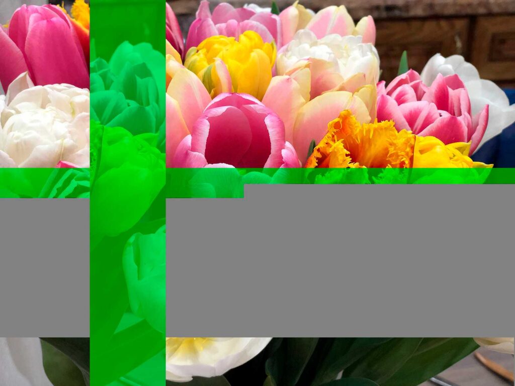 Damaged Image of a flower, Corrupted image file
