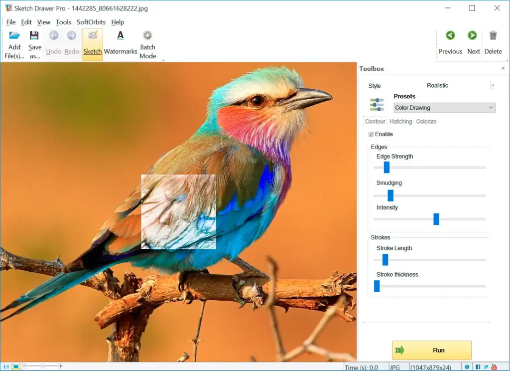 Wildlife photography conversion to sketch art, bird image portraits