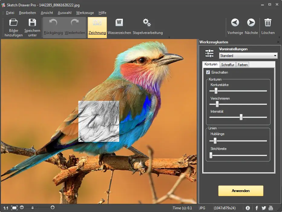 step 2 of the conversion process, image to sketch effortlessly, wildlife sketch conversion