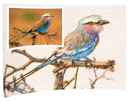 Final Converted image with the image to sketch converting software