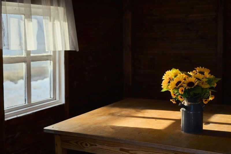 Indoor Photography