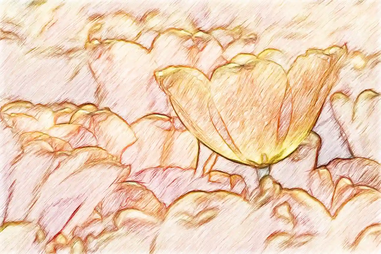 converted tulip image into sketch, best image to sketch converting software
