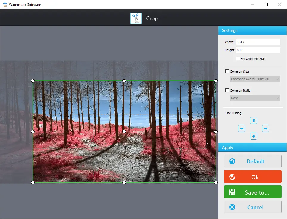 Cropping the images easily, crop and resize photos with this software