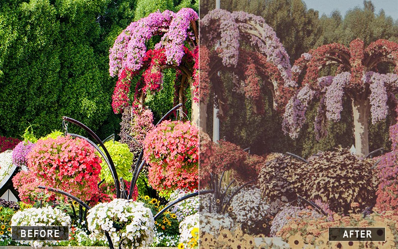 Aesthetic Pastel Lightroom Presets