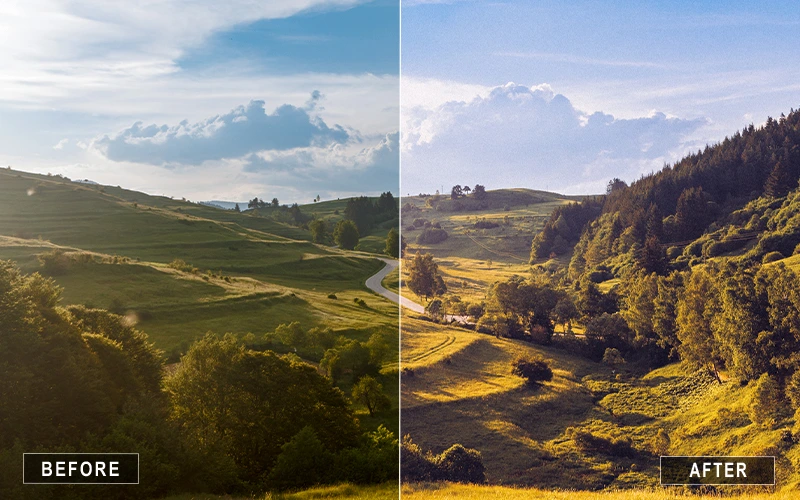 Natural Color Camera Raw Presetsโ