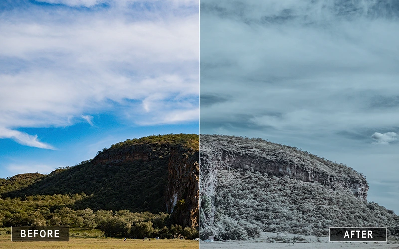 Natural Hill Camera Raw Presetsโ