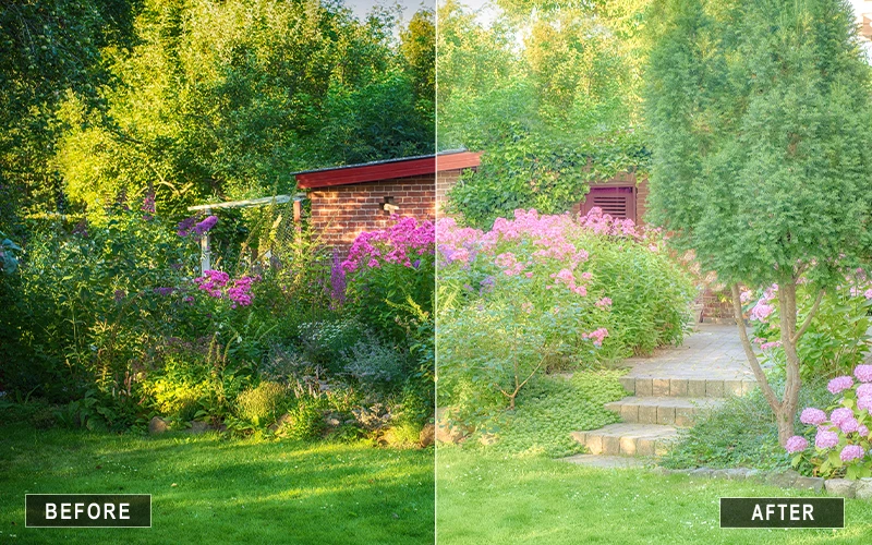Natural Light Camera Raw Presetsโ