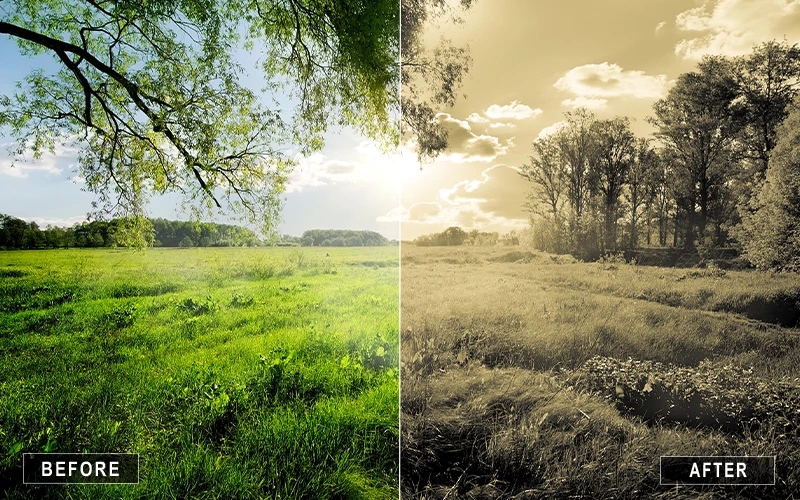 Natural Wonders Camera Raw Presetsโ