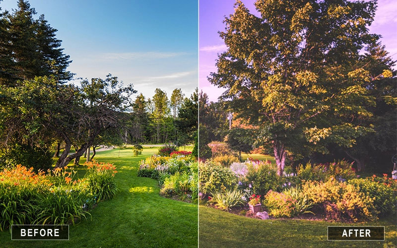 Pretty Pastel LR Presets