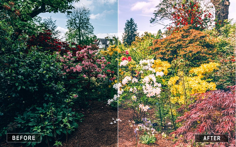 Rose Gold Pastel LR Presets