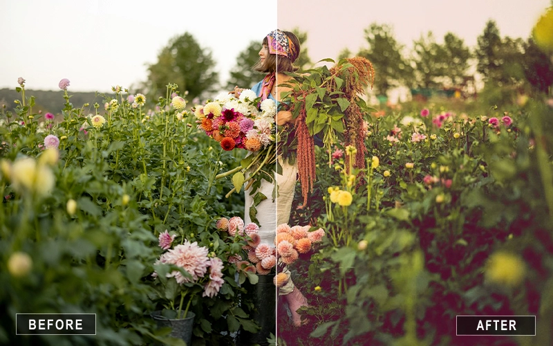 Soft Pastel Lightroom Presets