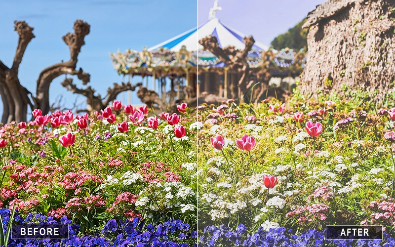 Warm Lightroom Pastel Presets