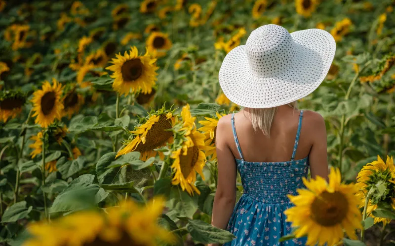 Casual solo summer photoshoot in a Sunflower Field