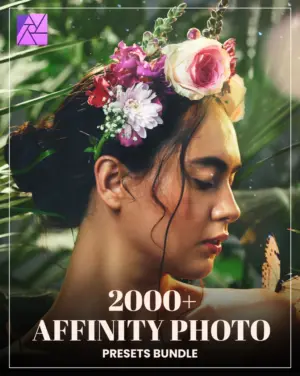 Affinity photo presets bundle feature