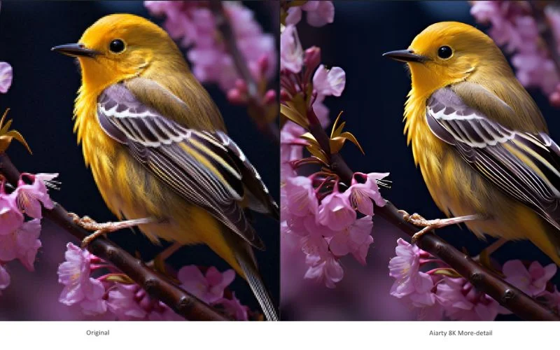 aiarty contrast enhancer, aiarty ai software, aiarty smart editing