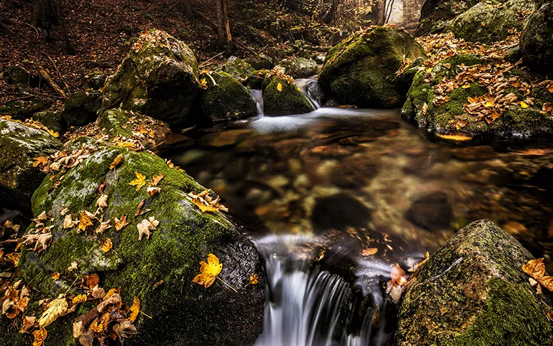 The Source After landscape editing