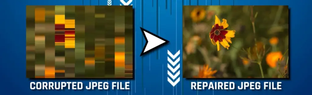 photo repair software