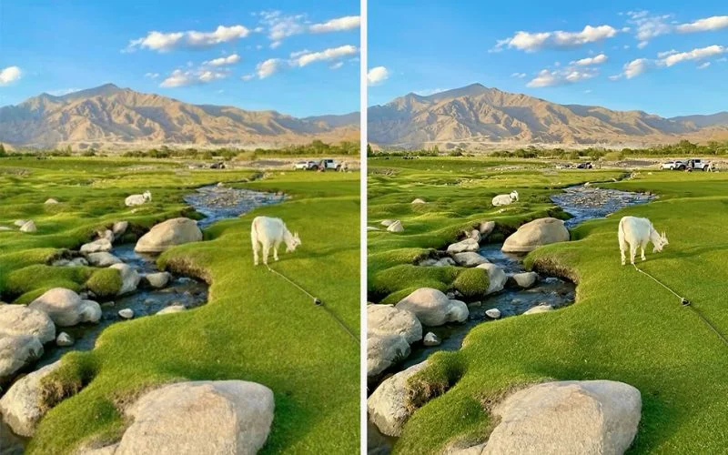 real photo ai model