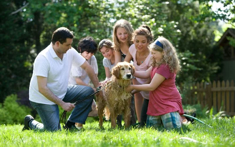 Creative Large Family Photo Ideas