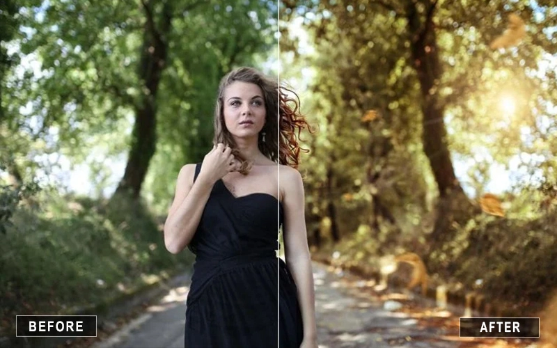 Falling Leaves Before and After Image after retouching