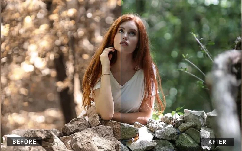Wonderland Before and after Images after photo Retouching
