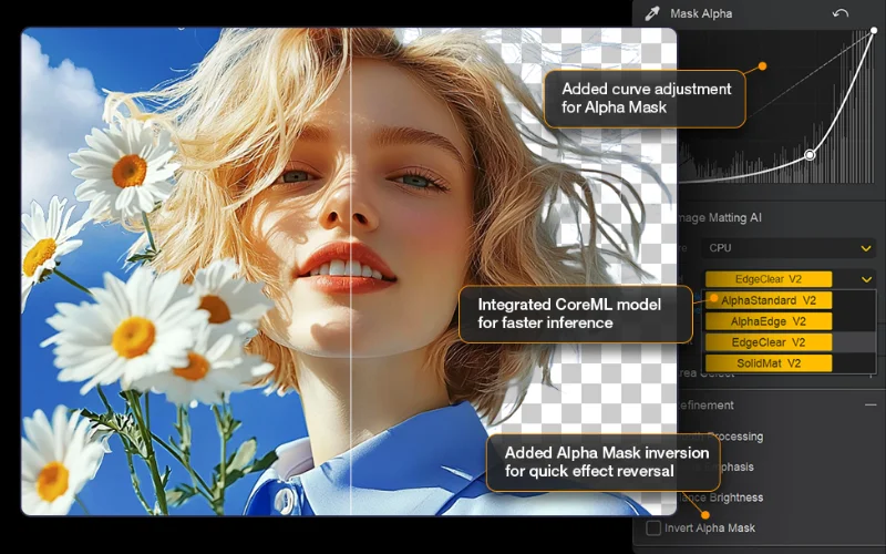 ai background remover, Alpha Matting
