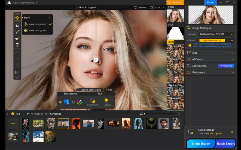 Aiarty Image Matting, AI Remove Background