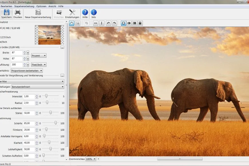 digital image resizing,Image enlarger software, image upscaling software