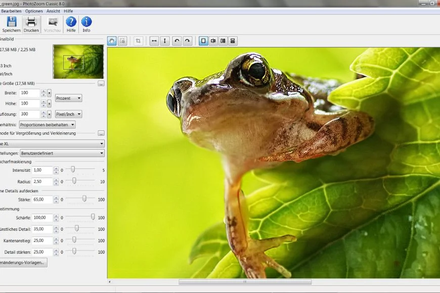image sharpener, digital image resizing, image enlargement