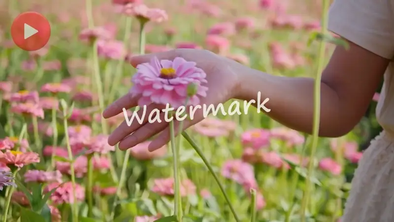 remove logo now video