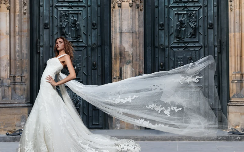 background remover ai, ai photo background changer