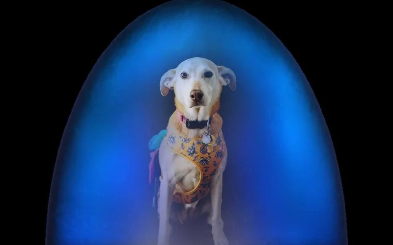 incorporating insights into daily life