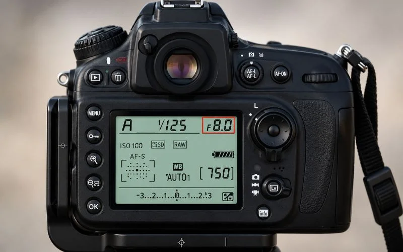 Camera LCD screen displaying aperture, shutter speed, and ISO settings for f/8.0