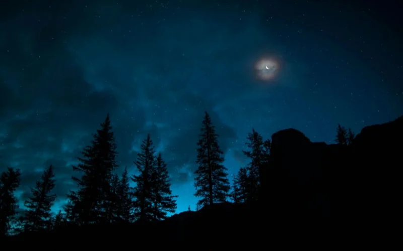 night images suggested settings