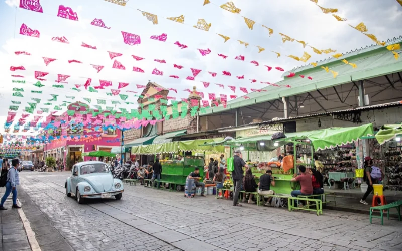 Get Your Photography Featured